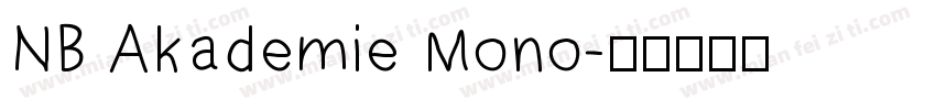 NB Akademie Mono字体转换